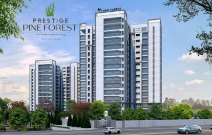 Prestige Pine Forest