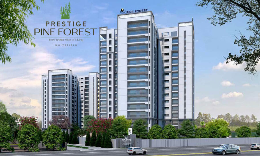 Prestige Pine Forest