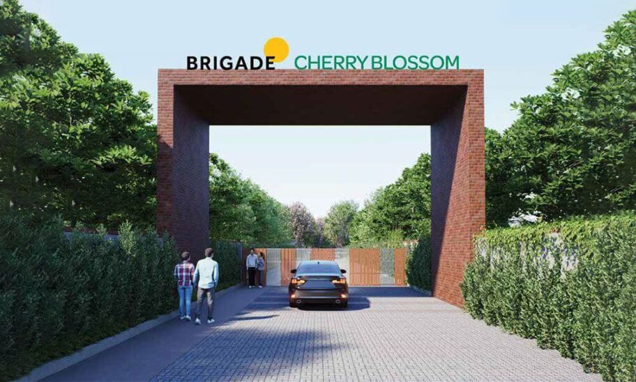 Brigade Cherry Blossom